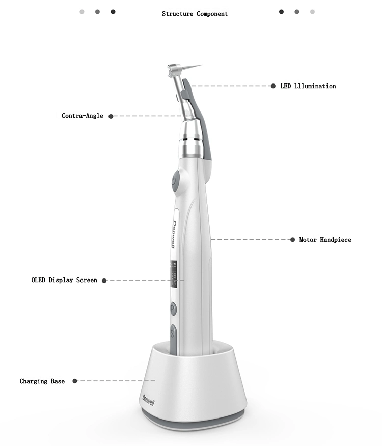 Byond Wireless Dental Endo Motor 1: 1 Endodontic for Dental Root Canal Files